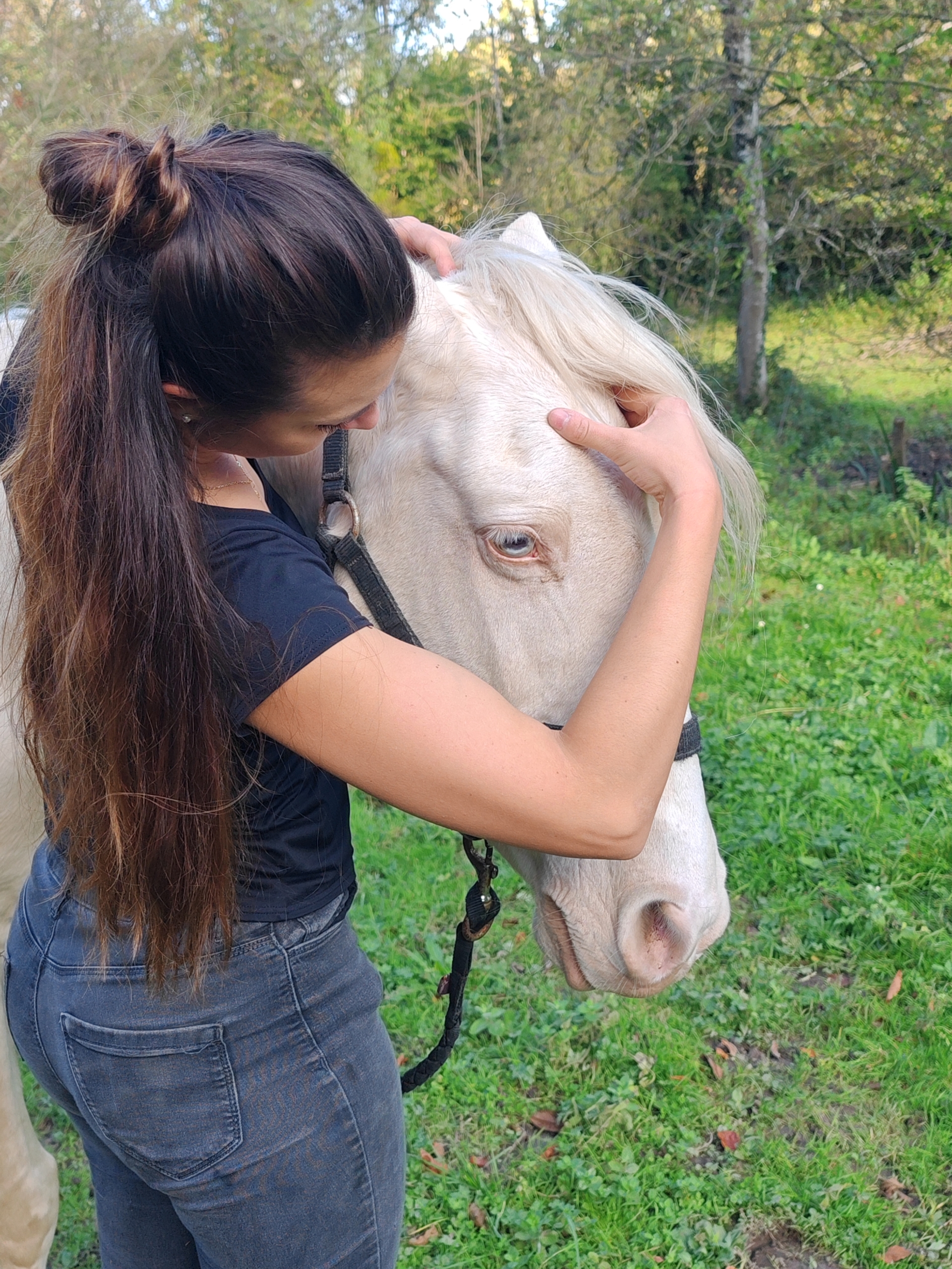 Les animaux